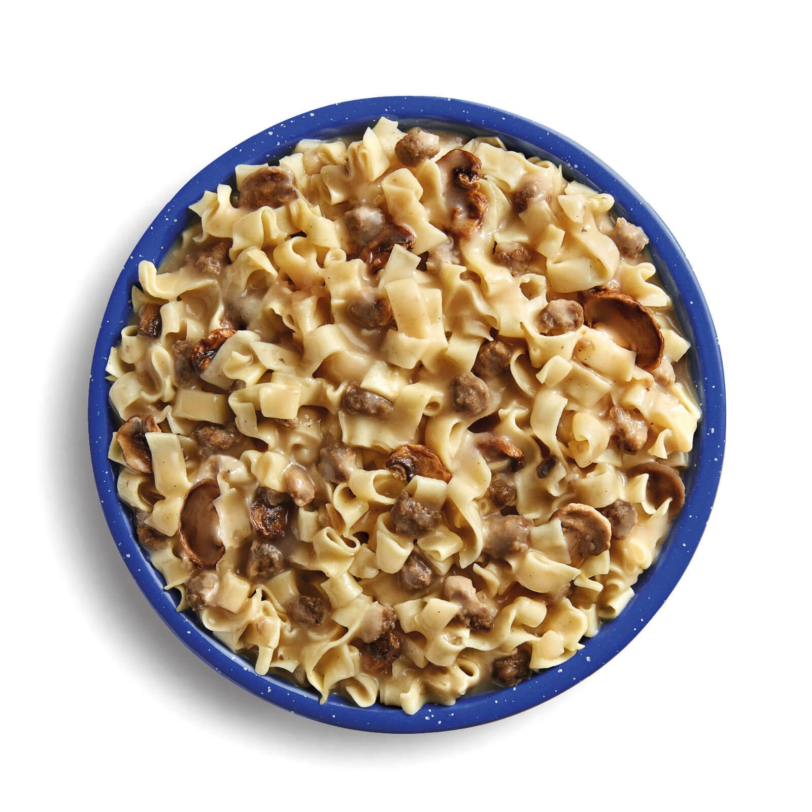 Beef Stroganoff with Noodles, Freeze Dried, PRO PAK by Mountain House