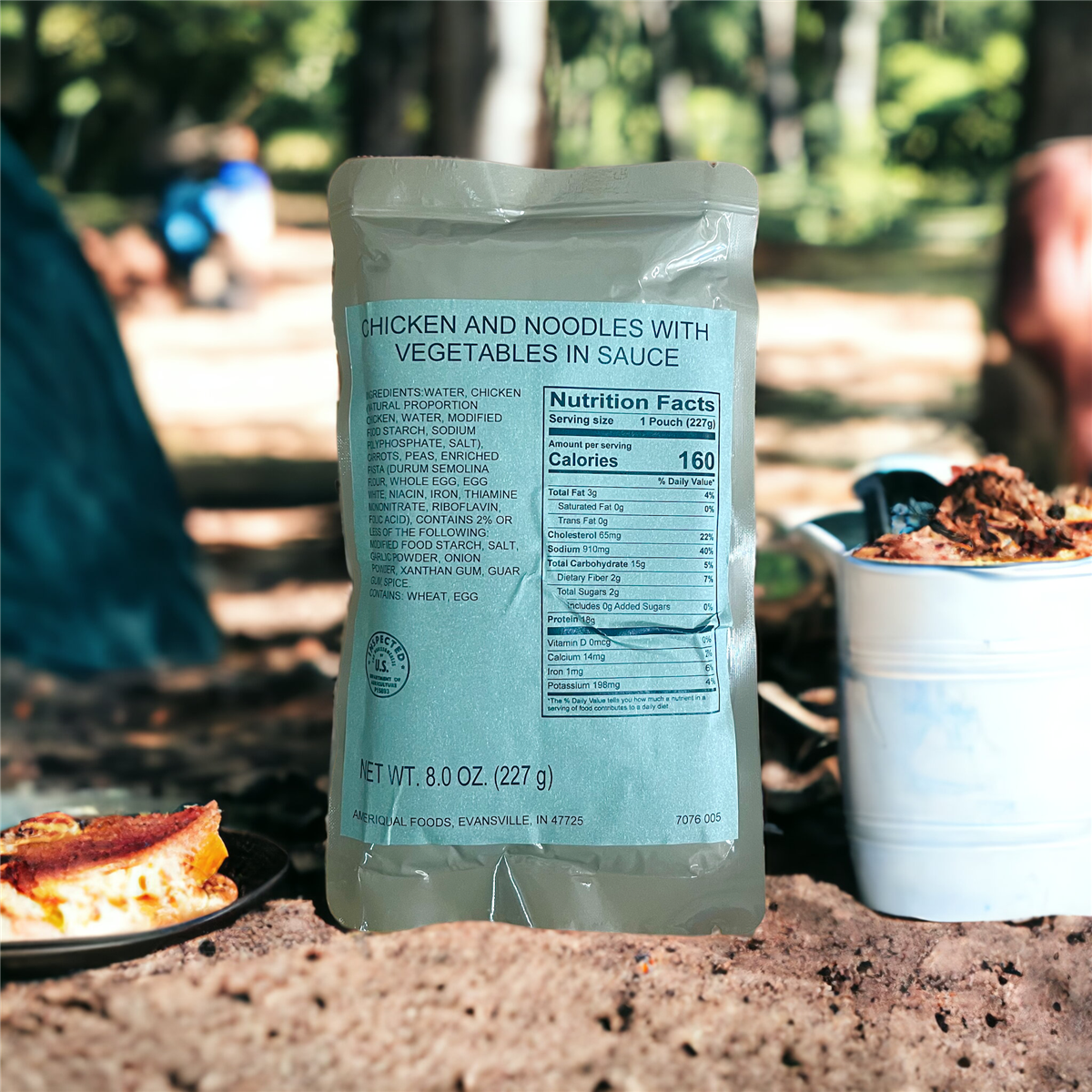 MRE Entree - Chicken Noodle with Vegetables