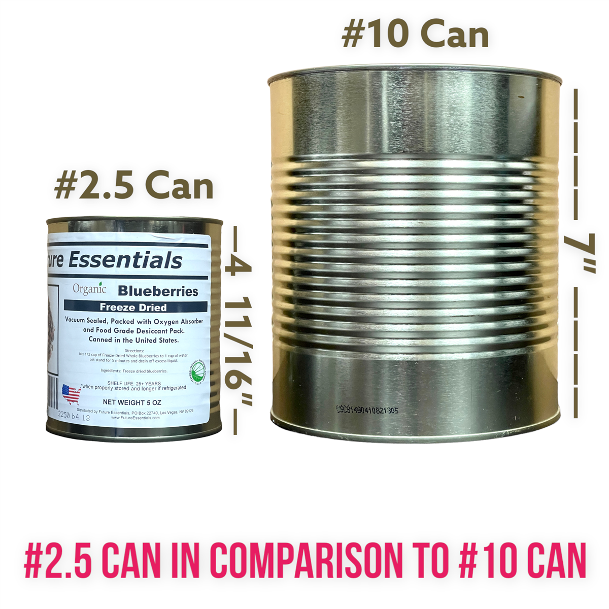 Future Essentials Freeze Dried Whole Blueberries