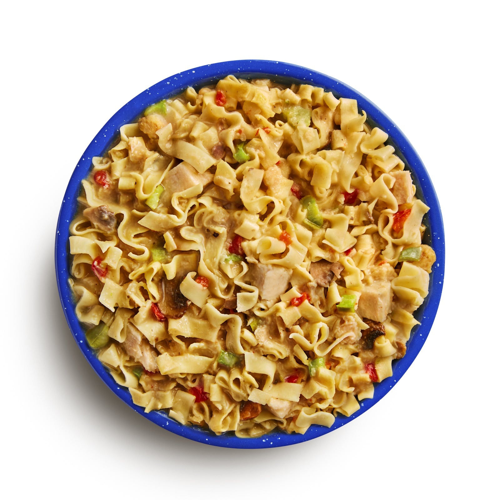 Homestyle Chicken Noodle Casserole, Freeze Dried, PRO PAK by Mountain House