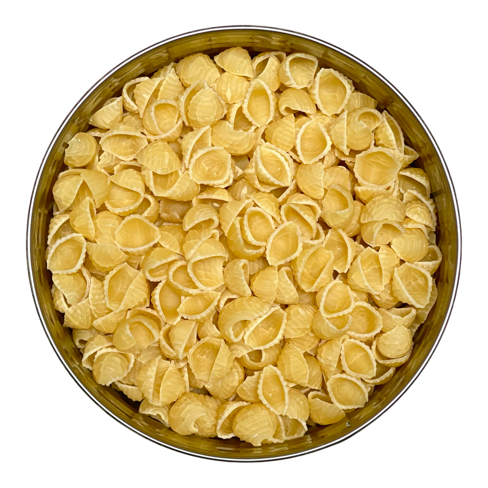Future Essentials Small Shell Pasta Noodles