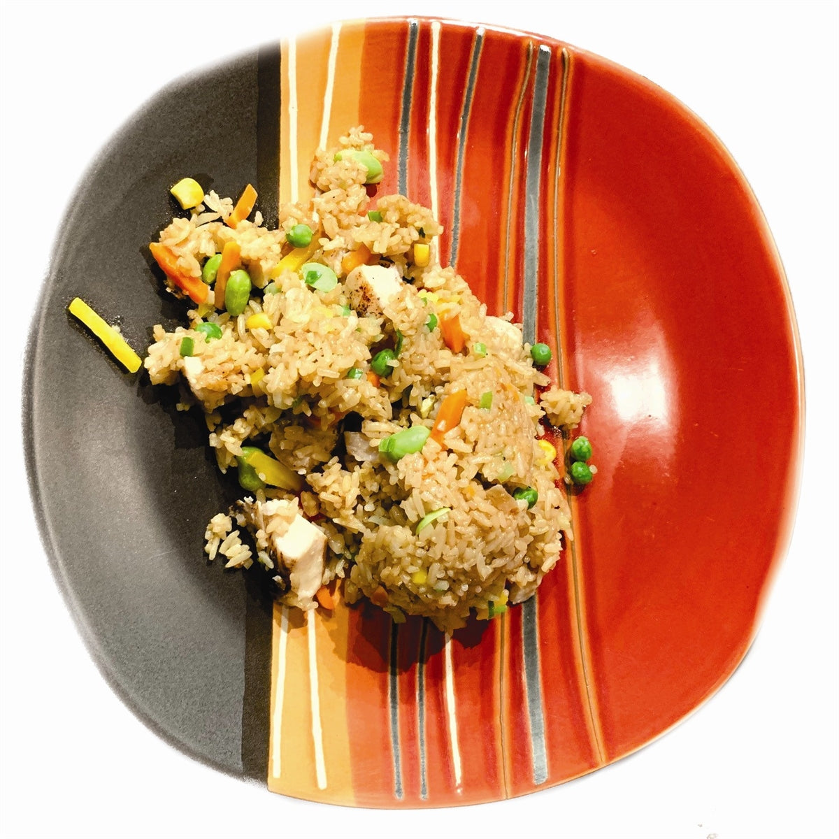 Military Surplus Freeze Dried Japanese Style Chicken with Fried Rice and Vegetables