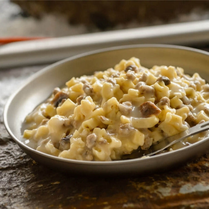 Beef Stroganoff with Noodles, Freeze Dried, PRO PAK by Mountain House